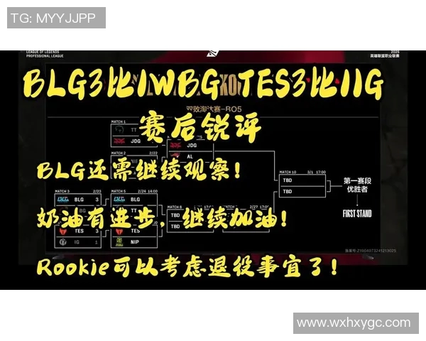 职业联赛中BLG状态分析与表现评估的全面解读与展望