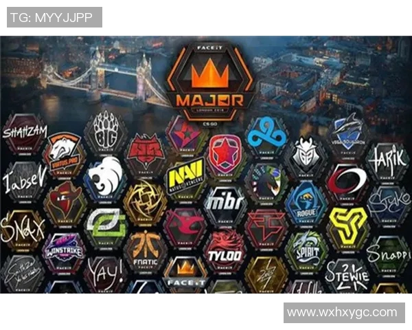 电竞实时数据分析聚焦V5战队在CSGO比赛中的经验与策略探讨