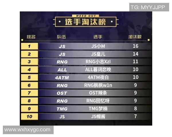 热议和平精英RNG耐力变革对游戏平衡与竞技性的深远影响